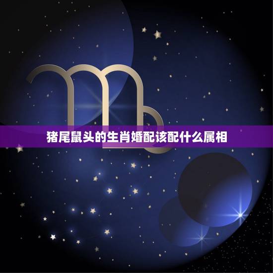 猪尾鼠头的生肖婚配该配什么属相，鼠和什么属相最配