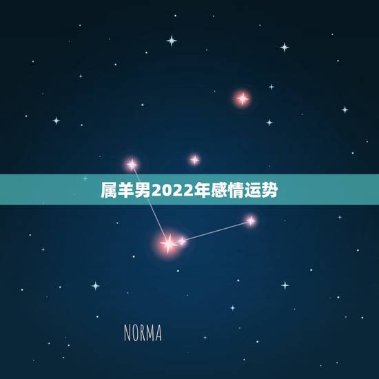 属羊男2022年感情运势，2022年对属羊的人好不好