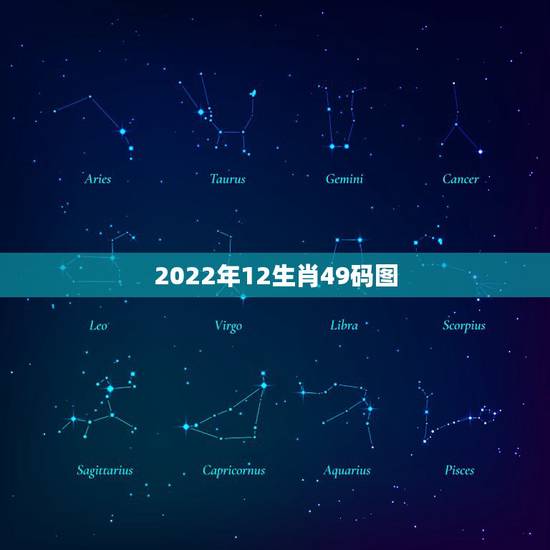 2022年12生肖49码图 2022年12生肖排码表