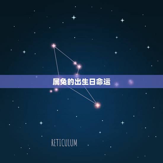 属兔的出生日命运,属兔人几日出生大富大贵 属兔的出生日命运,属兔人几日出生大富大贵