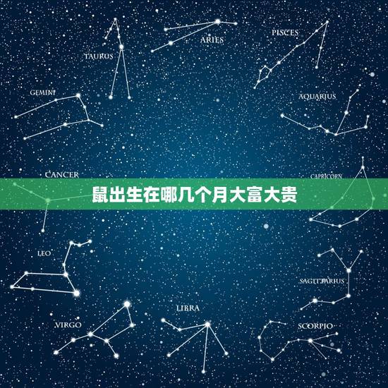 鼠出生在哪几个月大富大贵 1996属鼠女命一生姻缘 鼠出生在哪几个月大富大贵 1996属鼠女命一生姻缘