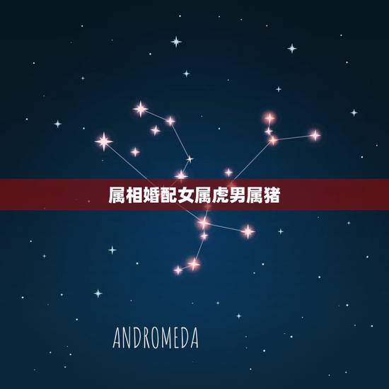 属相婚配女属虎男属猪，男属猪和女属虎生肖相配吗？
