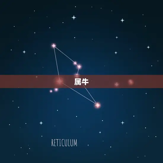 属牛 属牛