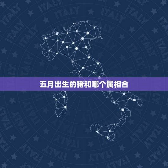 五月出生的猪和哪个属相合，属猪的和什么属相合