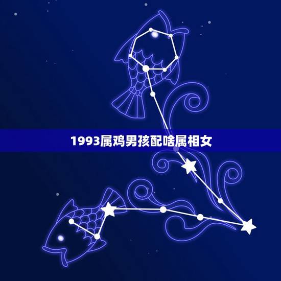 1993属鸡男孩配啥属相女,请问1993年属鸡的男和1996年属鼠的女 1993属鸡男孩配啥属相女,请问1993年属鸡的男和1996年属鼠的女