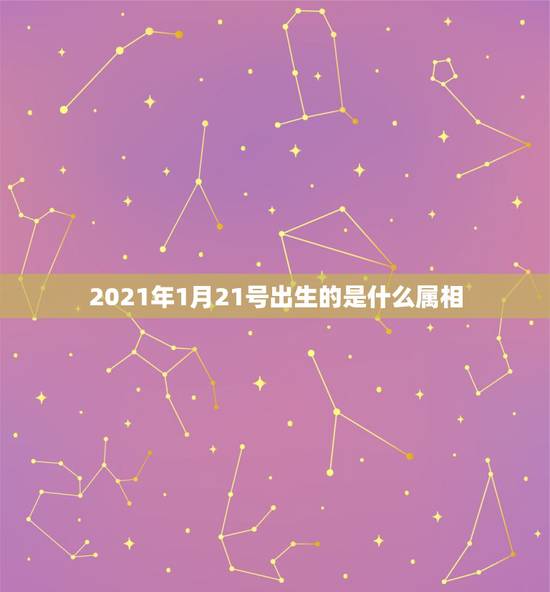2021年1月21号出生的是什么属相,2021年1月份出生的宝宝是什么 2021年1月21号出生的是什么属相,2021年1月份出生的宝宝是什么