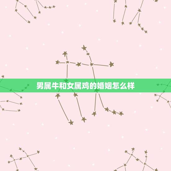 男属牛和女属鸡的婚姻怎么样,鸡和牛的属相合不合 男属牛和女属鸡的婚姻怎么样,鸡和牛的属相合不合