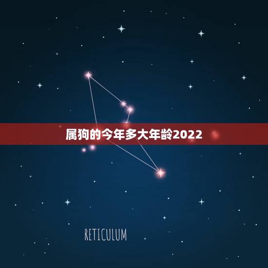 属狗的今年多大年龄2022,94属狗一生有几次婚姻 属狗的今年多大年龄2022,94属狗一生有几次婚姻