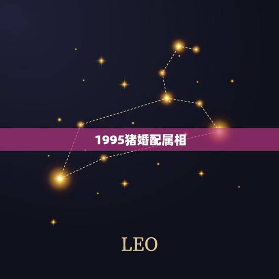 1995猪婚配属相,95年猪女婚配属相最配 1995猪婚配属相,95年猪女婚配属相最配