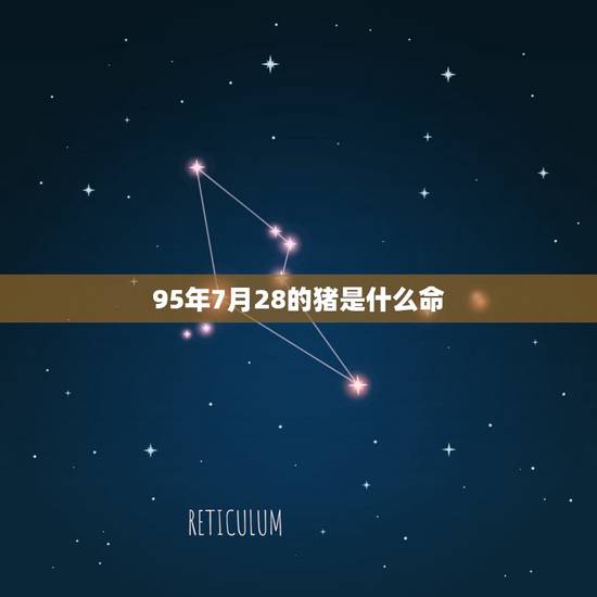 95年7月28的猪是什么命，属猪的男农历7月的好不好了