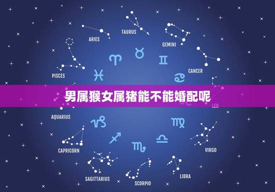 男属猴女属猪能不能婚配呢,男属猴女属猪配吗? 男属猴女属猪能不能婚配呢,男属猴女属猪配吗?