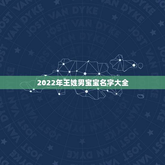 2022年王姓男宝宝名字大全，姓王男孩名字属猪
