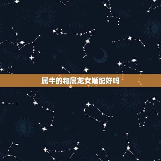属牛的和属龙女婚配好吗，男属龙女属牛相配吗？