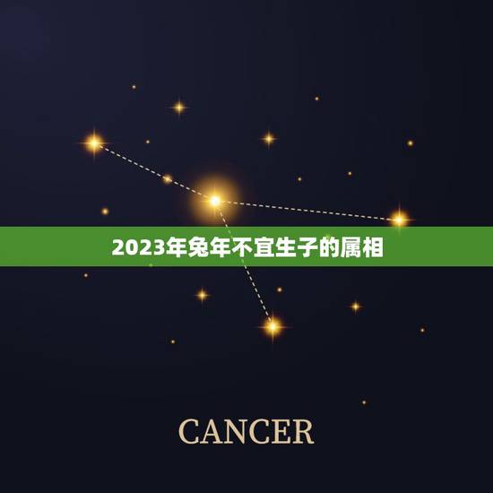 2023年兔年不宜生子的属相,2023兔年几月出生更好 2023年兔年不宜生子的属相,2023兔年几月出生更好