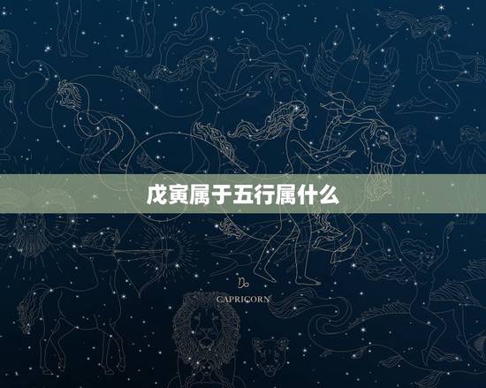 戊寅属于五行属什么，宇字五行属什么