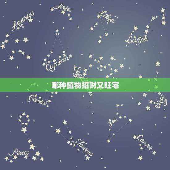 哪种植物招财又旺宅,养在家里招财又旺宅,还能美化家居的观赏植物有什么? 哪种植物招财又旺宅,养在家里招财又旺宅,还能美化家居的观赏植物有什么?