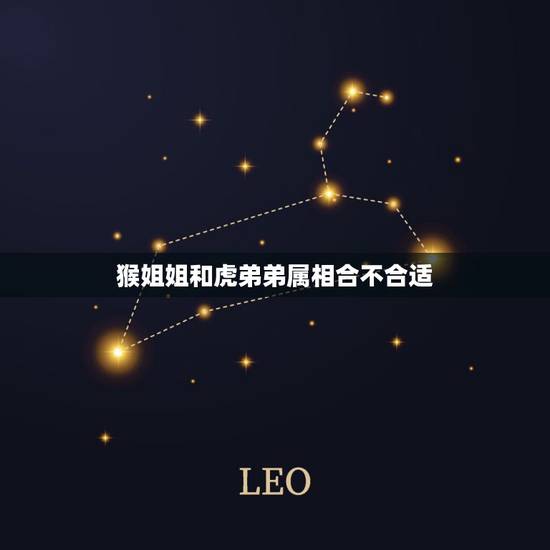 猴姐姐和虎弟弟属相合不合适,属虎与属猴是兄妹的生肖相克吗? 猴姐姐和虎弟弟属相合不合适,属虎与属猴是兄妹的生肖相克吗?