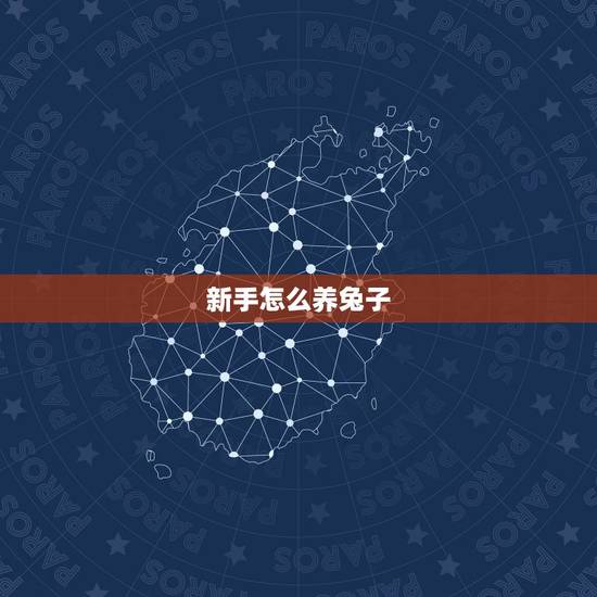 新手怎么养兔子,怎么养兔子繁殖最快 新手怎么养兔子,怎么养兔子繁殖最快