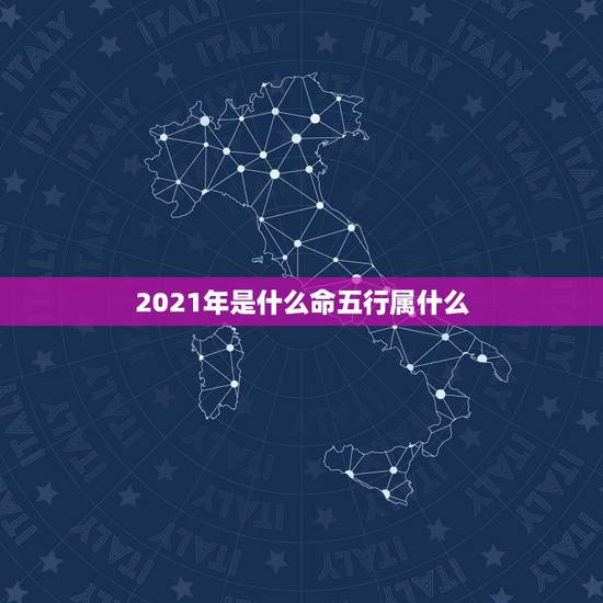 2021年是什么命五行属什么，2021年是什么牛五行属什么