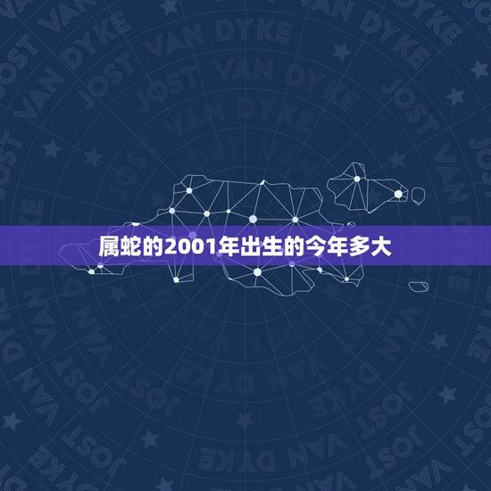 属蛇的2001年出生的今年多大，2001年出生到2022 年多少岁