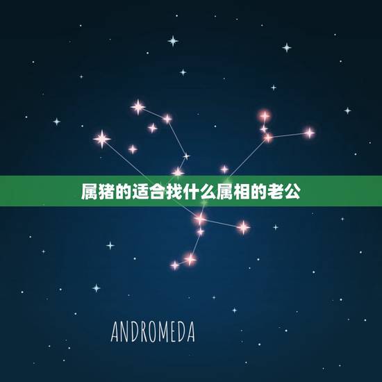 属猪的适合找什么属相的老公,属猪的女生和什么属相最配 属猪的适合找什么属相的老公,属猪的女生和什么属相最配
