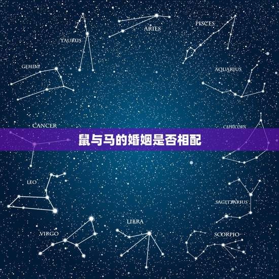 鼠与马的婚姻是否相配,90马和96鼠可以结婚吗 鼠与马的婚姻是否相配,90马和96鼠可以结婚吗