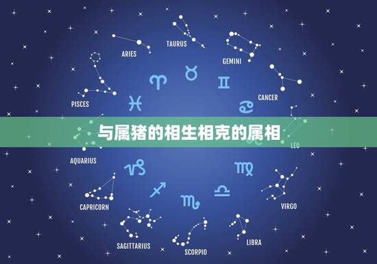 与属猪的相生相克的属相，属猪的结婚避开哪个属相