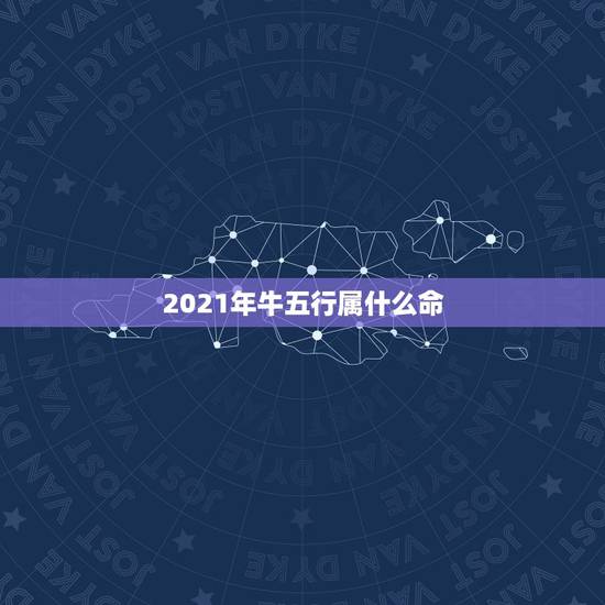 2021年牛五行属什么命，2021年五行属什么，缺什么