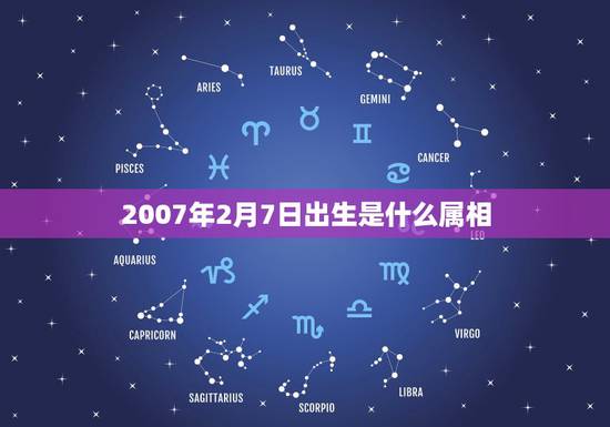 2007年2月7日出生是什么属相,我是1972年2月7日出生的是属什么 2007年2月7日出生是什么属相,我是1972年2月7日出生的是属什么