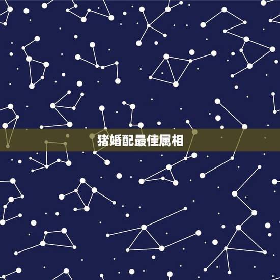 猪婚配最佳属相，属猪的与哪些属相婚配最好