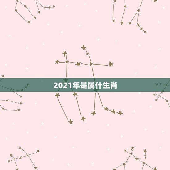 2021年是属什生肖，2021年24岁属什么生肖，2021年运势怎样？