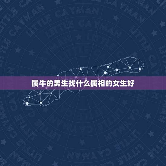 属牛的男生找什么属相的女生好，属牛男性和什么属相女性最配