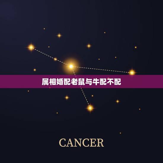 属相婚配老鼠与牛配不配，男属牛女属鼠婚配好吗
