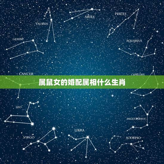 属鼠女的婚配属相什么生肖,属鼠和什么属相最配 属鼠女的婚配属相什么生肖,属鼠和什么属相最配