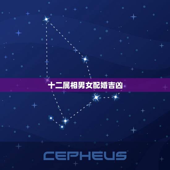 十二属相男女配婚吉凶,男女婚配属相 十二属相男女配婚吉凶,男女婚配属相