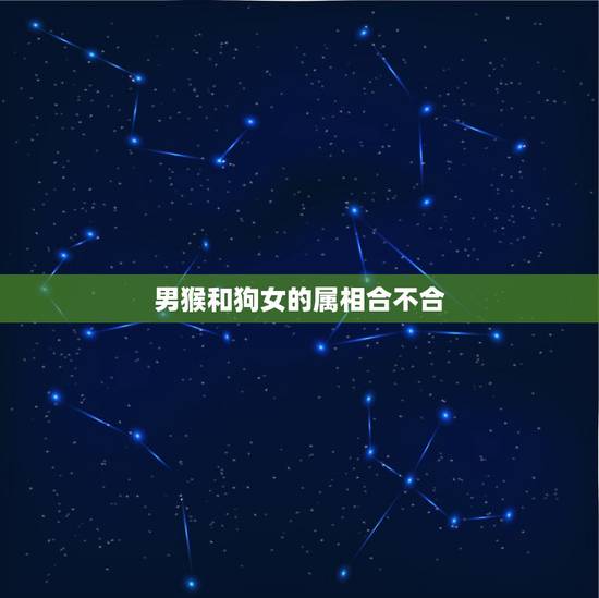 男猴和狗女的属相合不合，属猴男和属狗女的婚配