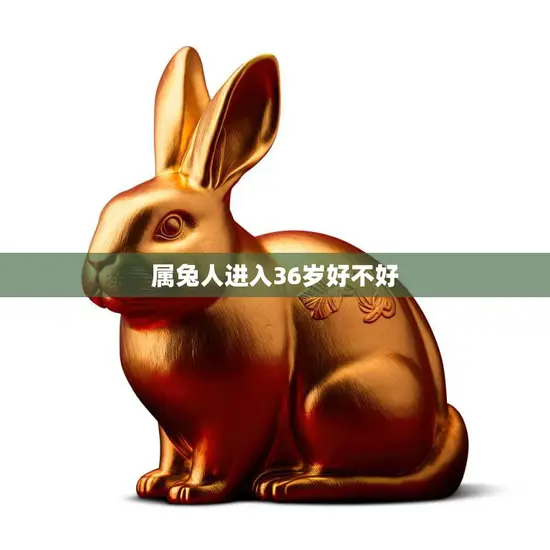 属兔人进入36岁好不好(如何应对人生中的转折点)