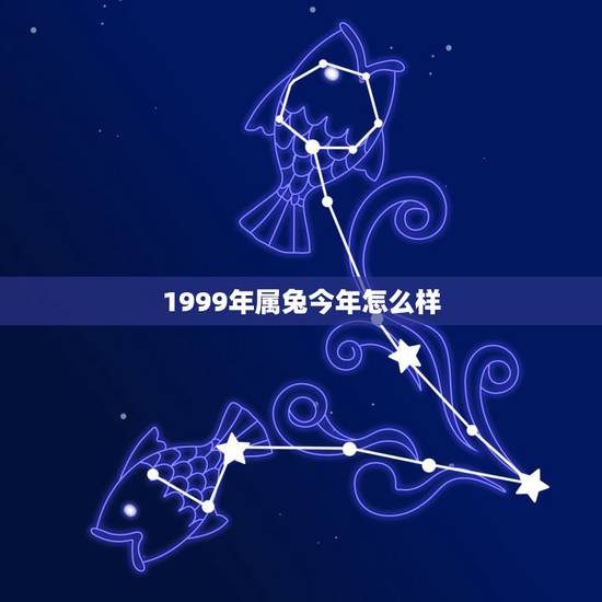 1999年属兔今年怎么样，属兔的人今年运程如何