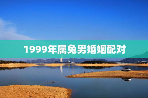 1999年属兔男婚姻配对，1988年属龙的人婚姻