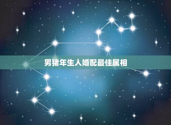 男猪年生人婚配最佳属相，男属龙的和什么属相最配