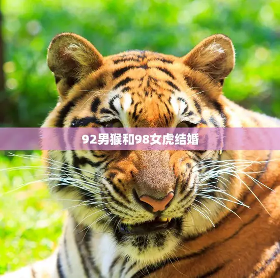 92男猴和98女虎结婚(幸福的跨越12岁的爱情) 92男猴和98女虎结婚(幸福的跨越12岁的爱情)