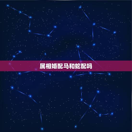 属相婚配马和蛇配吗，属相配对：马和蛇生肖相冲吗