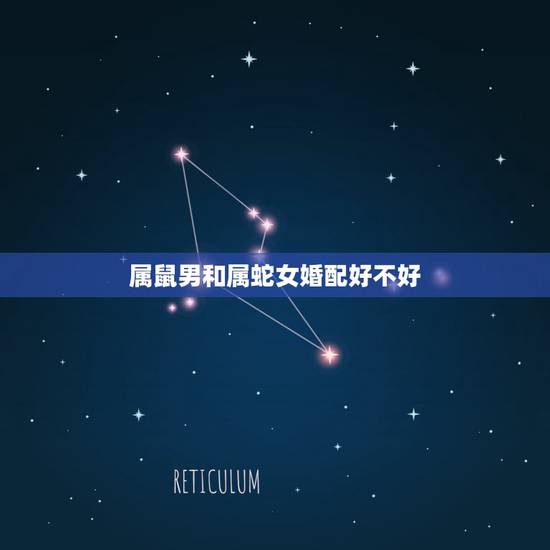 属鼠男和属蛇女婚配好不好，属鼠的和属蛇的可以结为夫妻吗