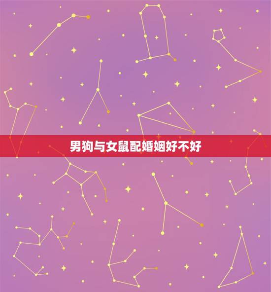 男狗与女鼠配婚姻好不好，男狗女鼠相合吗？