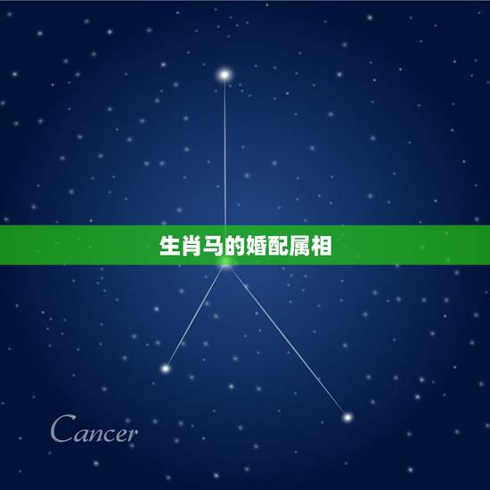 生肖马的婚配属相,属马的和什么属相最配 属马的属相婚配表? 生肖马的婚配属相,属马的和什么属相最配 属马的属相婚配表?