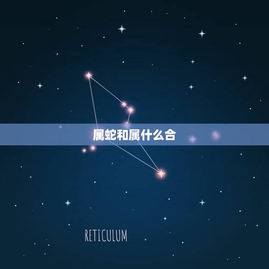 属蛇和属什么合，属蛇的人五行属什么