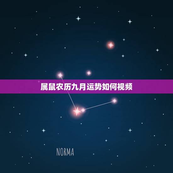 属鼠农历九月运势如何视频,2022 年10月8日属相 属鼠农历九月运势如何视频,2022 年10月8日属相