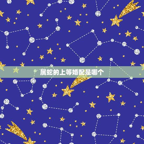 属蛇的上等婚配是哪个,女属蛇的和什么属相最配 属蛇的上等婚配是哪个,女属蛇的和什么属相最配