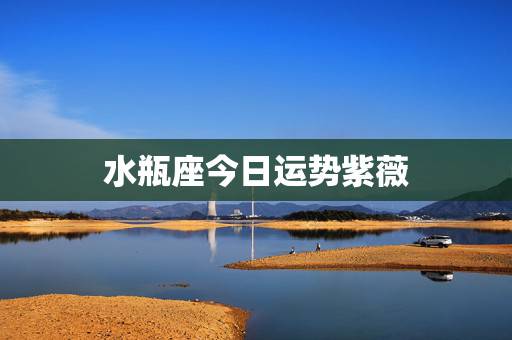 水瓶座今日运势紫薇,水瓶座今日运势 水瓶座今日运势紫薇,水瓶座今日运势