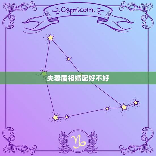 夫妻属相婚配好不好,属相婚配真的很重要吗? 夫妻属相婚配好不好,属相婚配真的很重要吗?